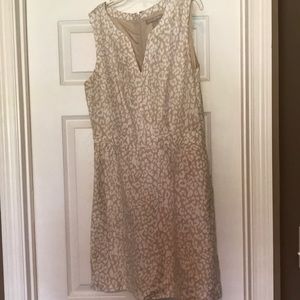 Banana Republic Shift Dress